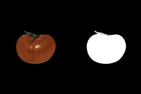 Tomato Stock Photos