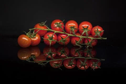 Tomato Foto stock