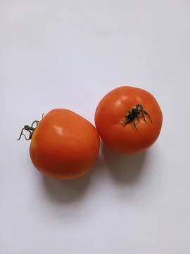 Tomato Stock Photos