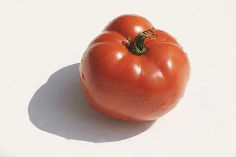 Tomato Fotos de archivo