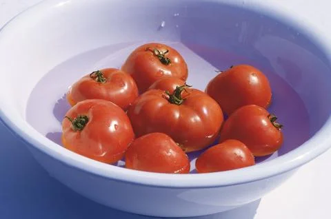 Tomato Stock Photos
