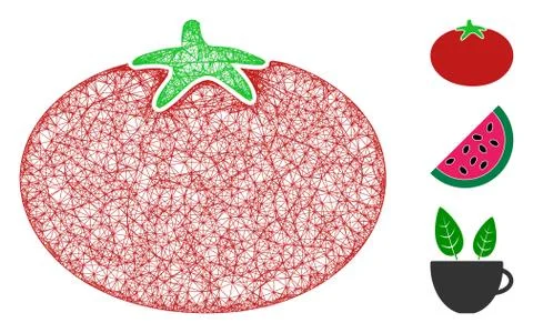 Tomato Polygonal Web Vector Mesh Illustration Illustrazione stock