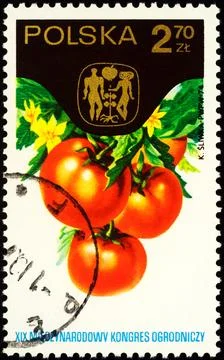 Tomato on postage stamp Stock Photos