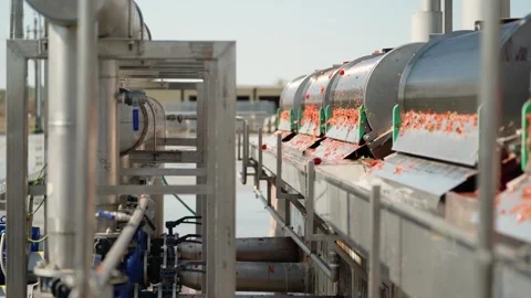 Tomato processing line with stainless steel machinery outdoors 動画素材 347964753