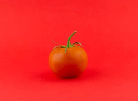 Tomato on Red Background Stock Photos