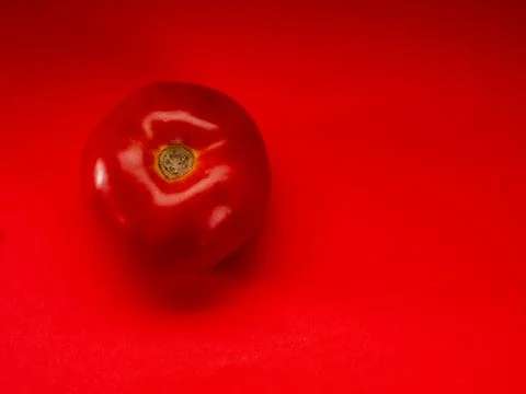 Tomato with red background Stock Photos