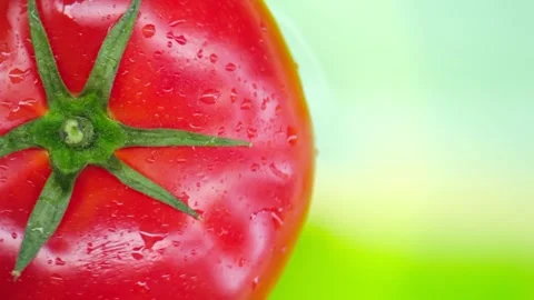 Tomato rotates on a green background. Copy space. top view. Closeup. 動画素材 130526878