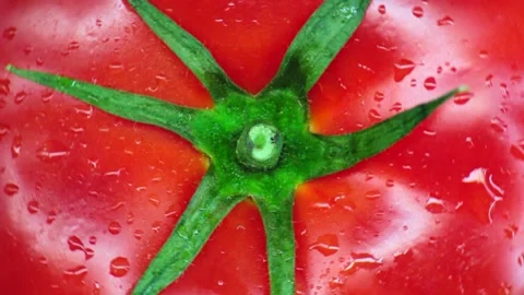 Tomato rotates on a green background. top view. Closeup. Stock Footage 135335729