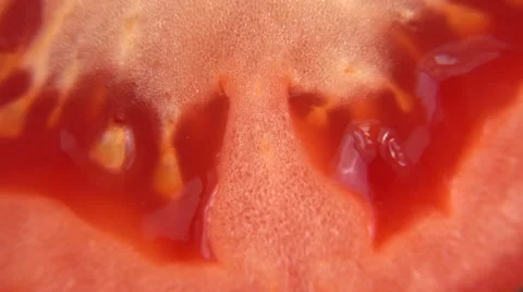 Tomato Rotating _ Loopable Macro Close Up Of Detail And Texture Stock Footage 61171030