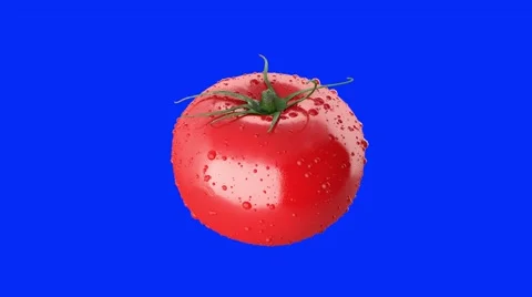 Tomato rotating on blue background 3D render Stock Footage 62551229