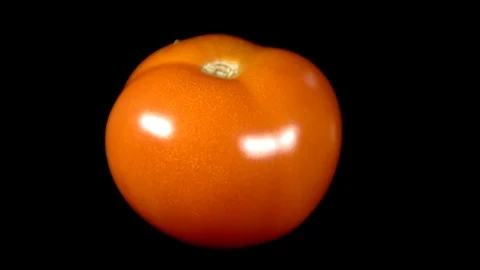 Tomato Rotating 库存影片 123919899