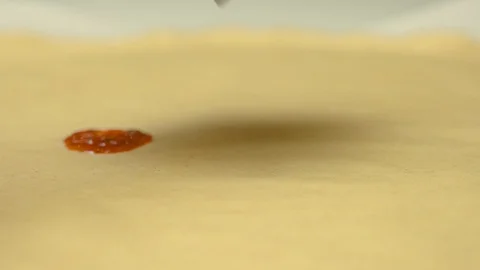 Tomato sauce with basil spread on pizza with a spoon Stock Footage 125615184
