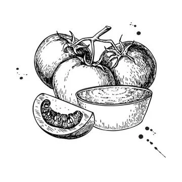 Tomato sauce Drawing. Vector isolated illustration with bowl full of pasta, b Stock Illustration