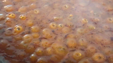 Tomato Sauce with Spices Video stock 295036481