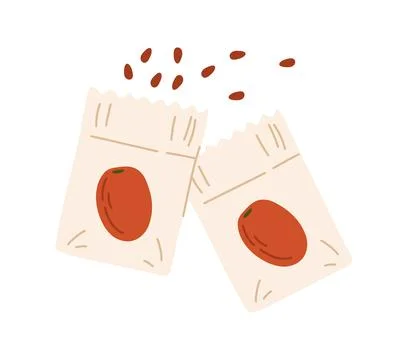 Tomato seed packets with seeds spilling out Stock Illustration