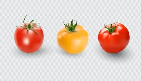 Tomato set. Red tomato collection. Photo-realistic vector tomatoes on trans.. Stock Illustration