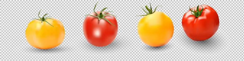 Tomato set. Red tomato collection. Photo-realistic vector tomatoes on Stock Illustration