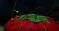 Tomato Shaped Pin Bag Video HD