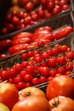 Tomato shapes Stock Photos