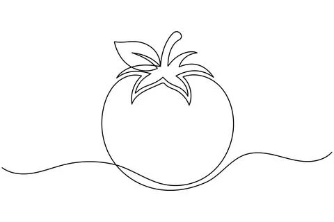 Tomato single line art drawing minimal style fresh vegetable isolated vecto.. Illustrazione stock