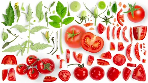 Tomato Slice and Leaf Collection Vídeo Stock 171174846