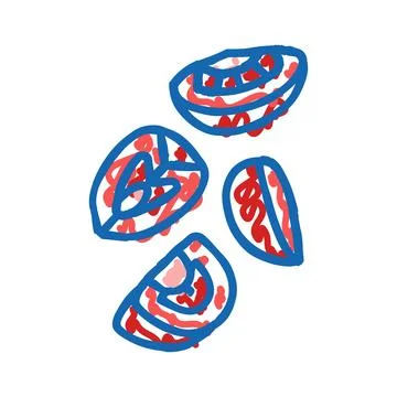 Tomato slice food cut icon doodle illustration Stock Illustration