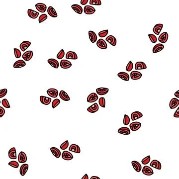 Tomato slice food cut vector seamless pattern Illustrazione stock