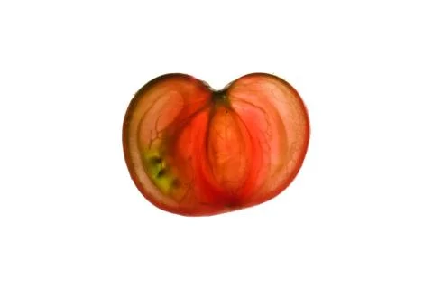 Tomato slice isolated on white Stock Photos