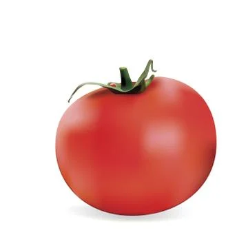Tomato slice isolated on white. Tomato organic Stock Illustration