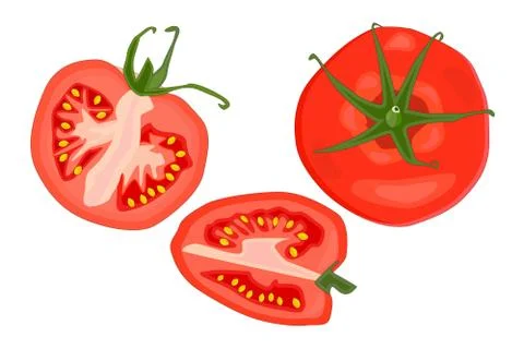 Tomato slice set isolated on white background. Stock Illustration