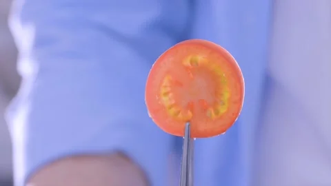 Tomato slice is spinning. Stock Footage 133021527