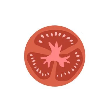 Tomato slice vector illustration. Love apple isolated 스톡 일러스트