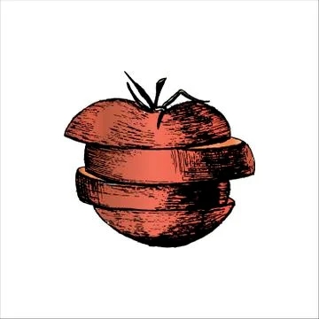 A tomato. Sliced red tomato. Hand-drawn in sketch style. Isolated on a white. Stock Illustration