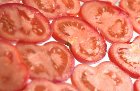 Tomato slices Фото
