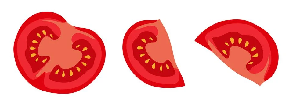 Tomato slices in the section of several angles. Vector illustration. A concep Stock Illustration