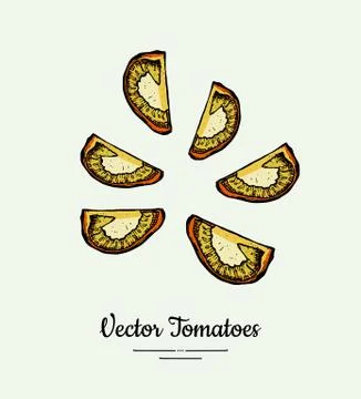Tomato slices vegetable vector isolate. Orange cutted tomatoes. Vegetables ha Stock Illustration