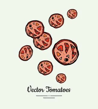 Tomato slices vegetable vector isolate. Red half cutted tomatoes. Vegetables  Stock Illustration