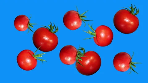 Tomato spinning loop blue screen Stock Footage 62913498