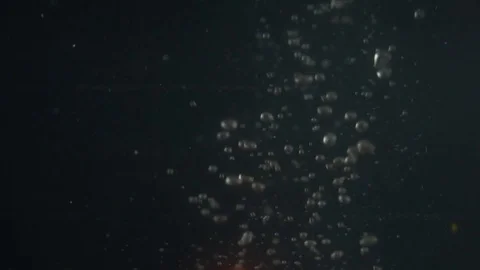 Tomato splash in water Stock Footage 85274498