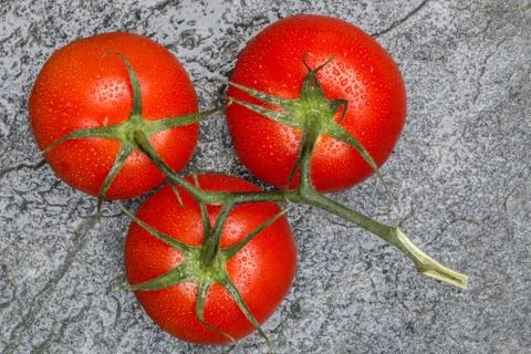 Tomato on stone background macro 스톡 사진