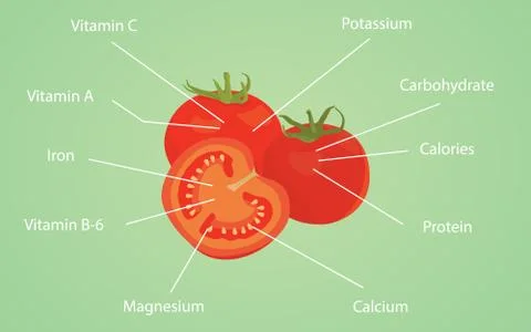 Tomato tomatoes nutrition nutrient data information vitamin calories vector Stock-Illustration