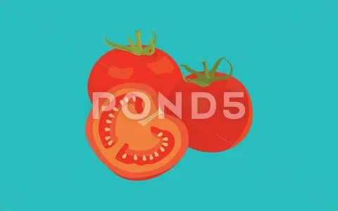 Tomato tomatoes sliced single object isolated with blue background vector Stock Illustration
