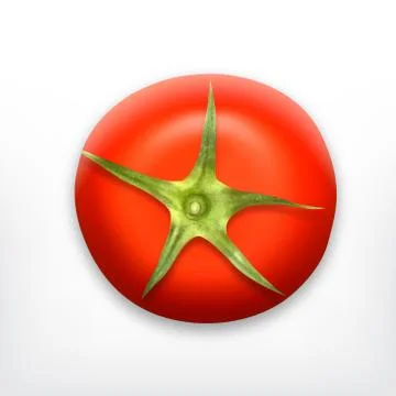 Tomato. Top view Illustrazione stock