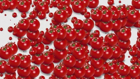Tomato Transition 4K Stock Footage 257739616