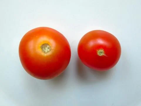 Tomato Two On Plate Stock Photos