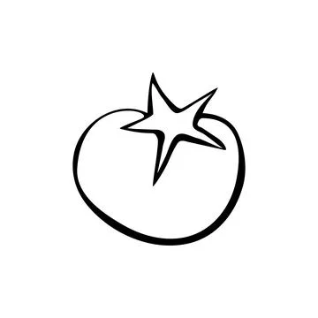 Tomato vector drawing icon. Simple clip art of fruit in doodle style, outline Stock Illustration