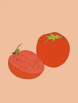 Tomato vector drawing. Isolated tomato and sliced piece. Vegetable engraved s Stock Illustration