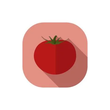 Tomato vector flat design Stock Illustration