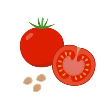 Tomato vector flat illustration. Whole and halved tomato and seeds isolated on Stock Illustration