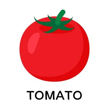 Tomato, vector illustration in cartoon flat stye. Food and vegetable concept. Pr Stock Illustration
